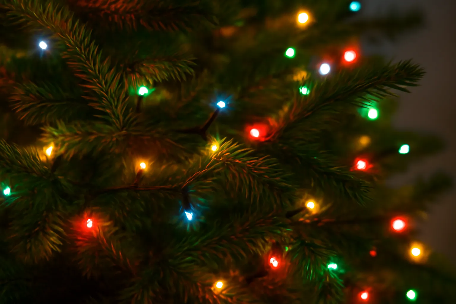 christmas lights ideas